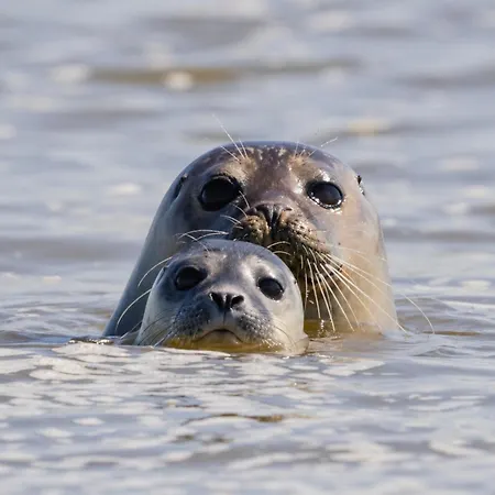 De La Baie-baie De Somme-sites Et Paysages